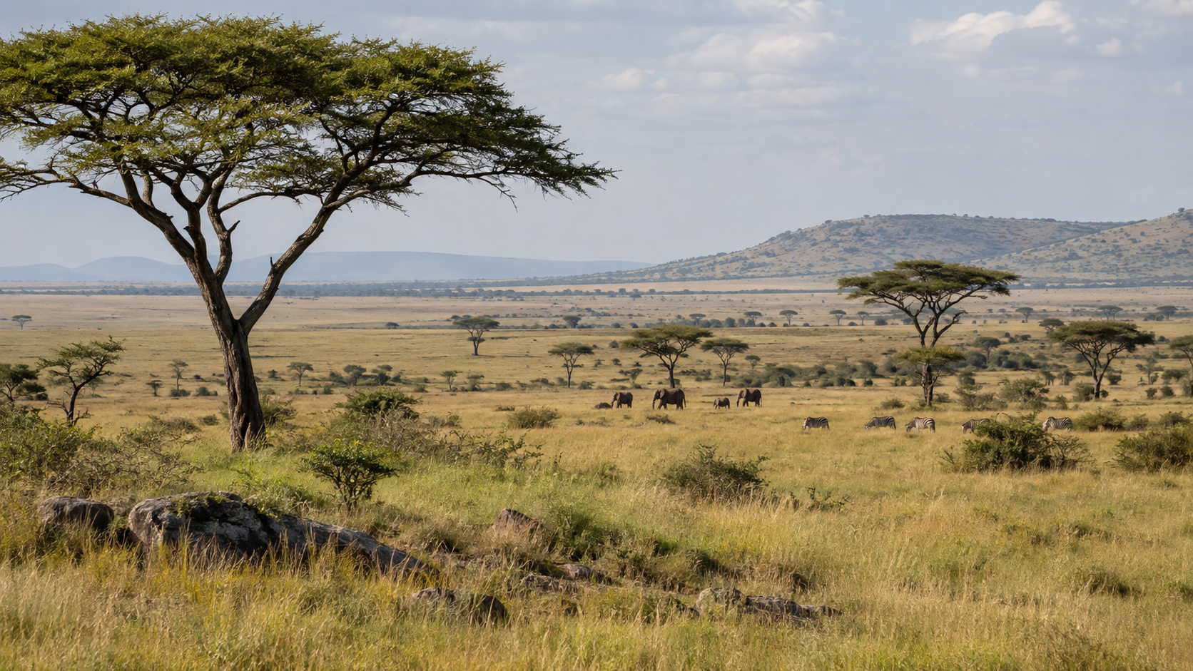 Tanzania & Zanzibar — photo 3